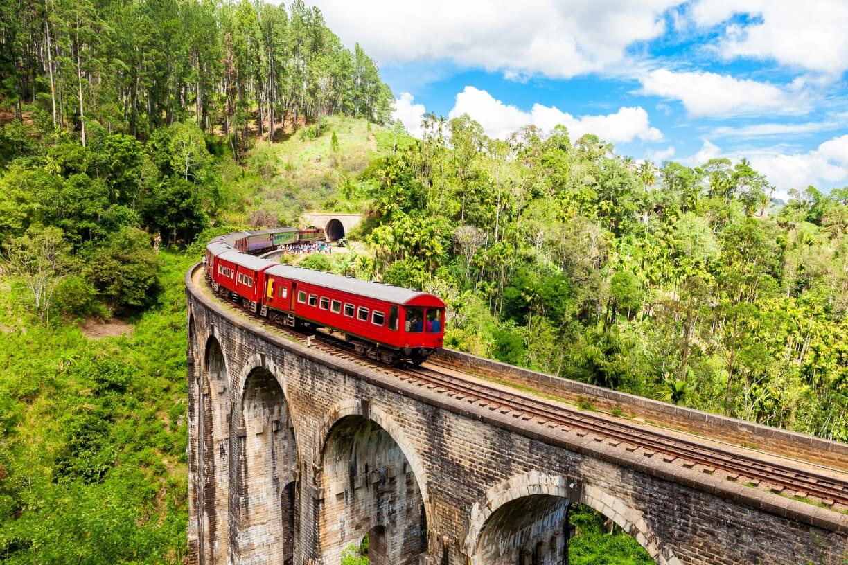 Ella train