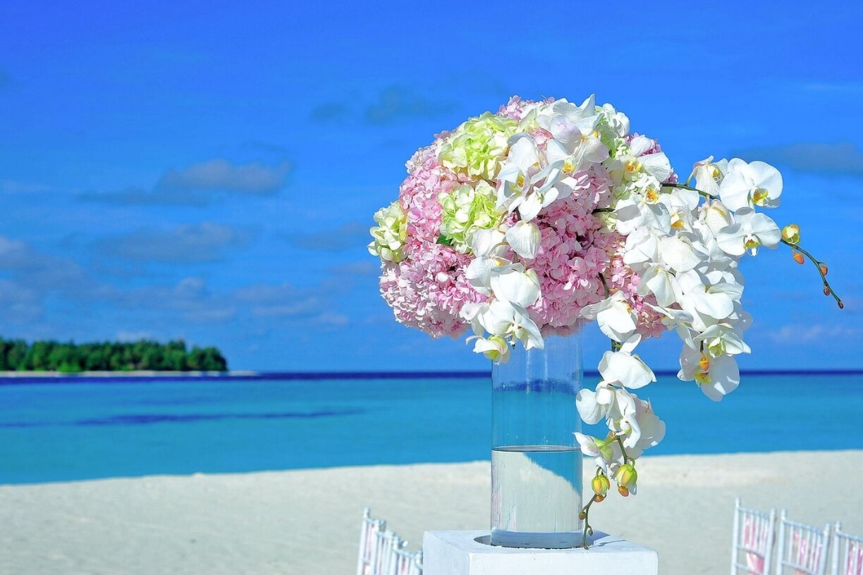 weddings 3